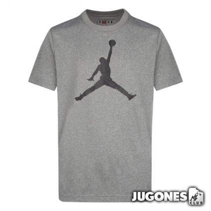 Jordan Jumpman Dri-fit t-shirt