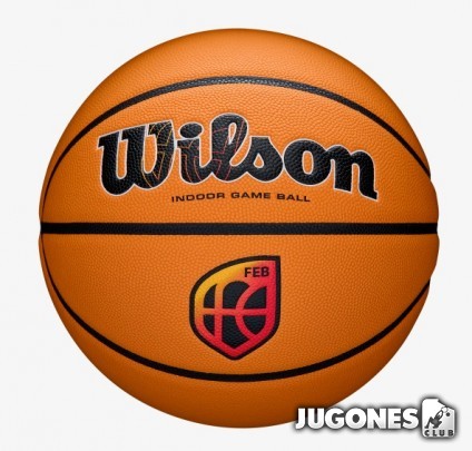 Balon Wilson EVO NXT Game FEB Ecom