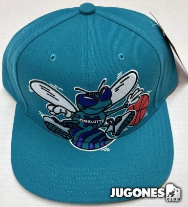 NBA XL Logo Charlotte Hornets