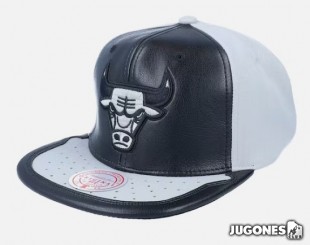 Gorra Chicago Bulls Mitchell & Nes Day One