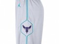 Jordan Charlotte Hornets Association Edition Swingman