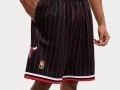 Swingman Short Chicago Bulls